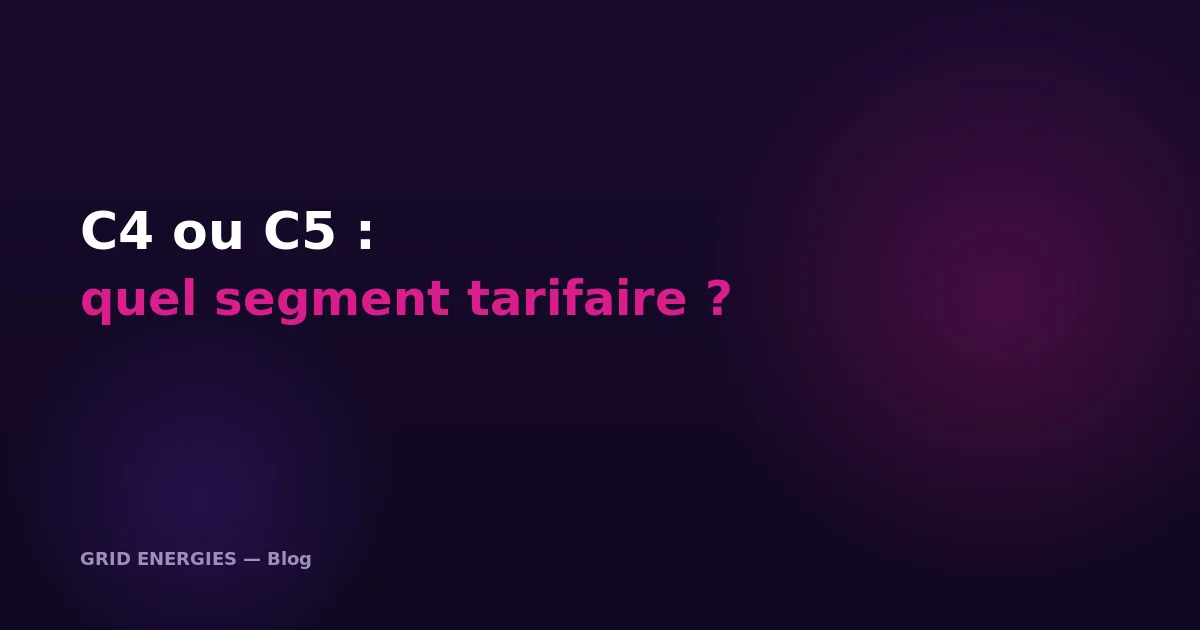 Segments tarifaires C4 et C5 en électricité